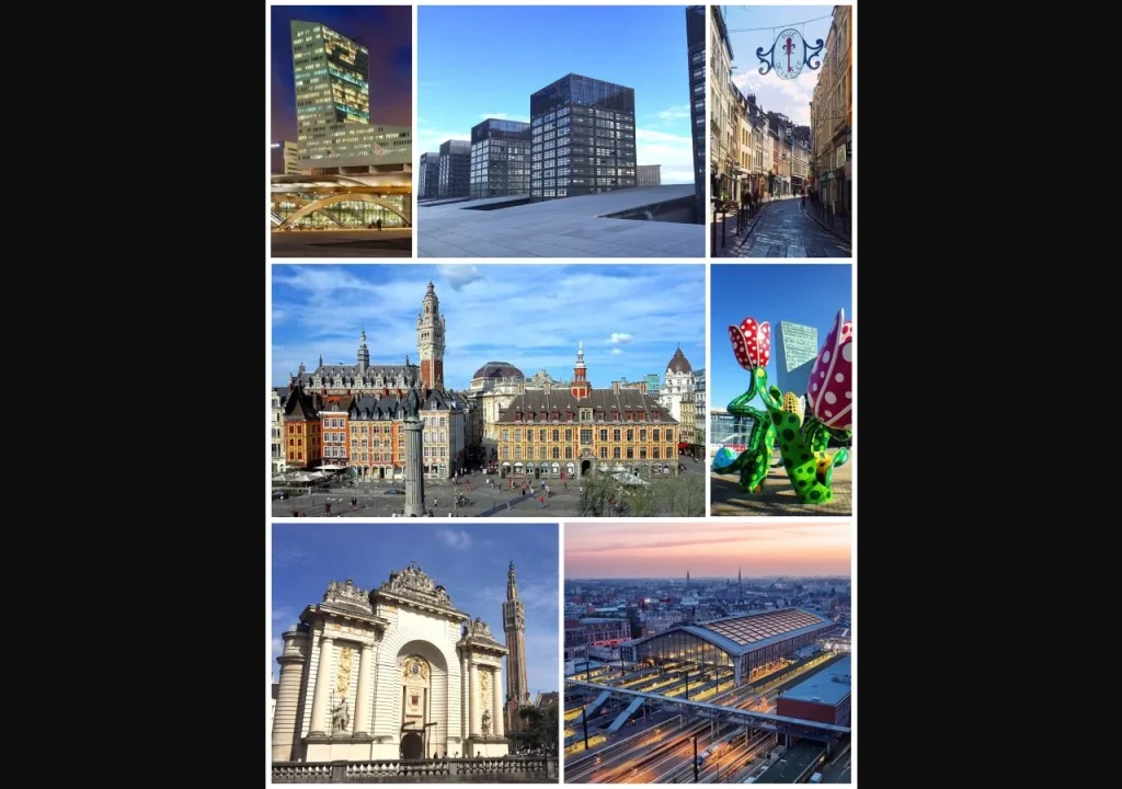Vue de Lille - Consultant Google Ads