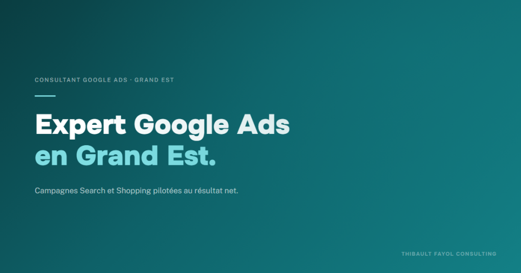 Consultant Google Ads Grand Est