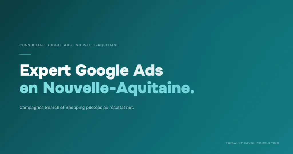 Consultant Google Ads Nouvelle-Aquitaine