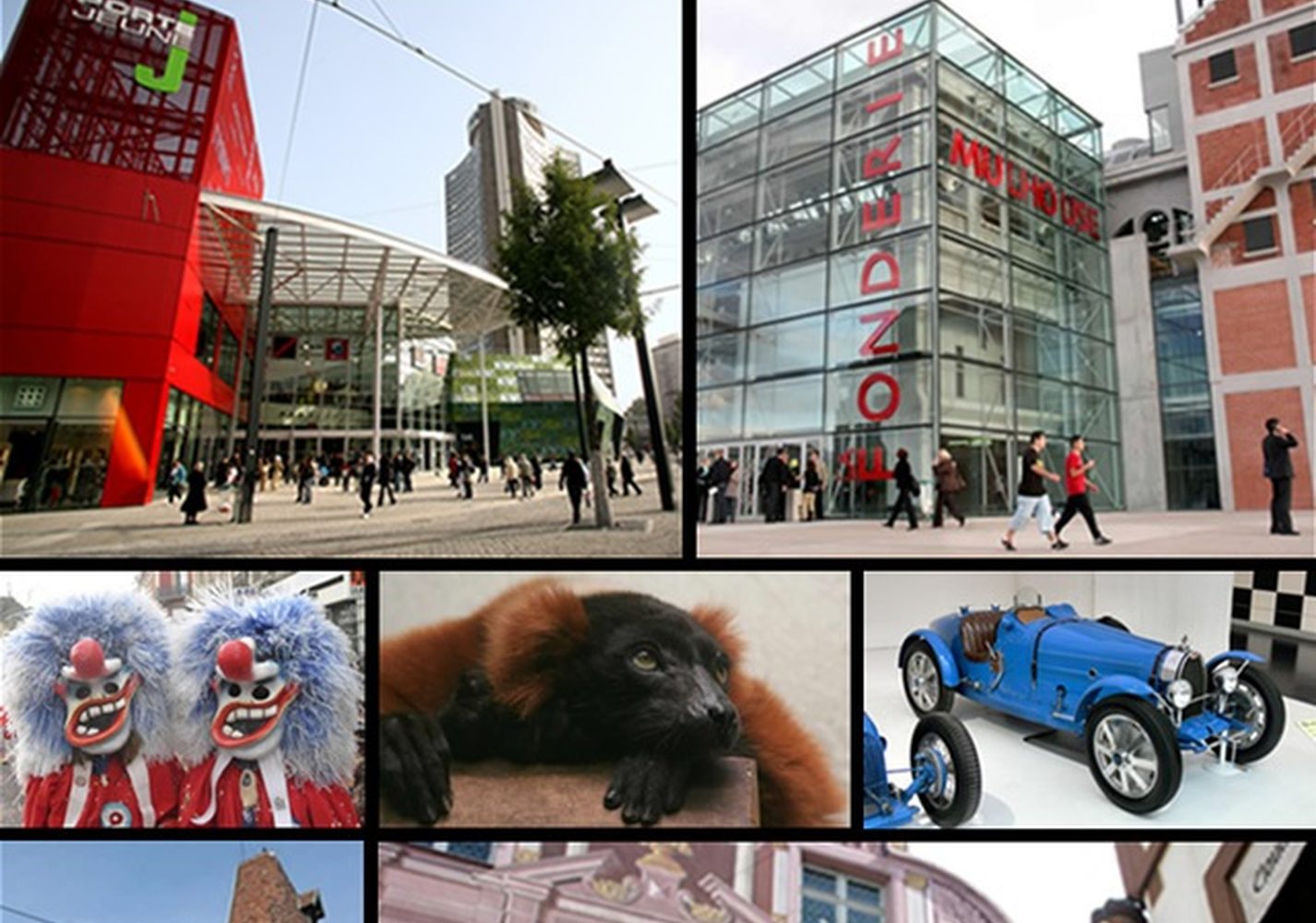Vue de Mulhouse - Consultant Google Ads