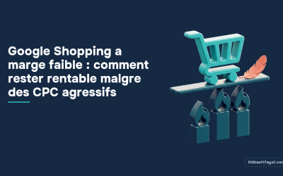 Google Shopping a marge faible : comment rester rentable malgre des CPC agressifs